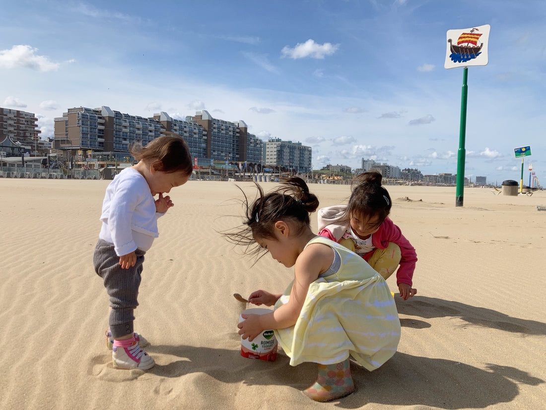 Emigrating from Japan to Europe: Unveiling Cultural Insights through Public Holidays in Japan, the UK, and the Netherlands